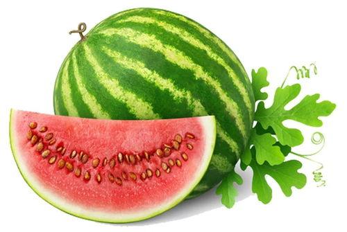 吃瓜网官网首页,揭秘娱乐圈最新动态，带你畅游八卦海洋