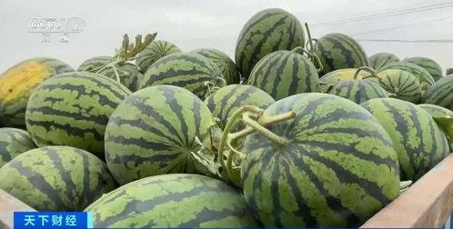 五一吃瓜全网最快的吃瓜平台,全网最快平台一网打尽精彩瞬间